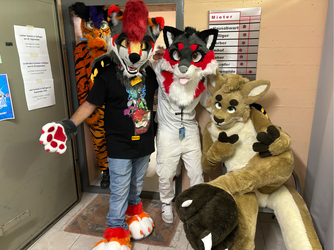 switzerland - Photo 2