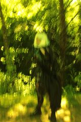 Furina LDV preview 3