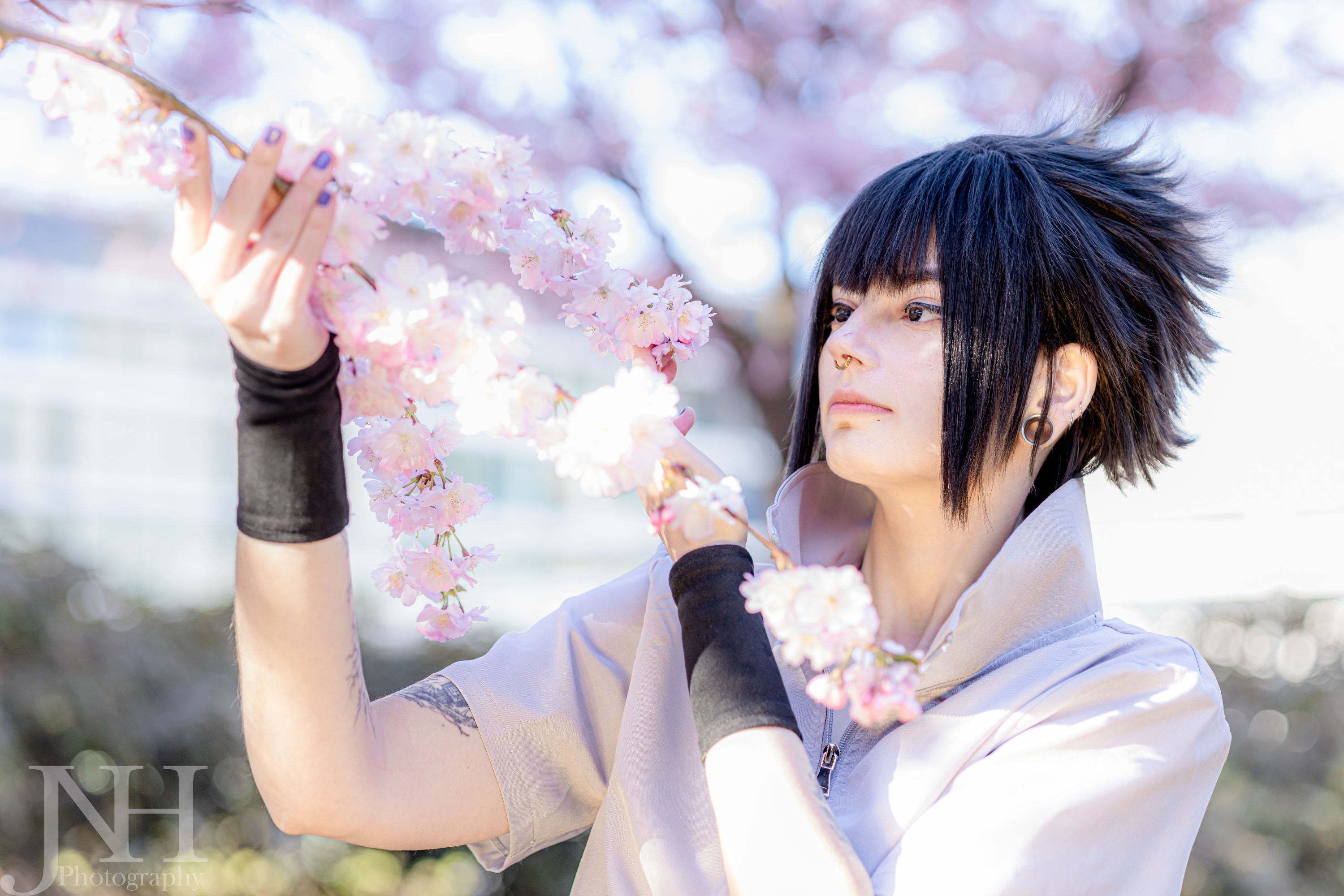 Cherry Blossoms - Photo 7