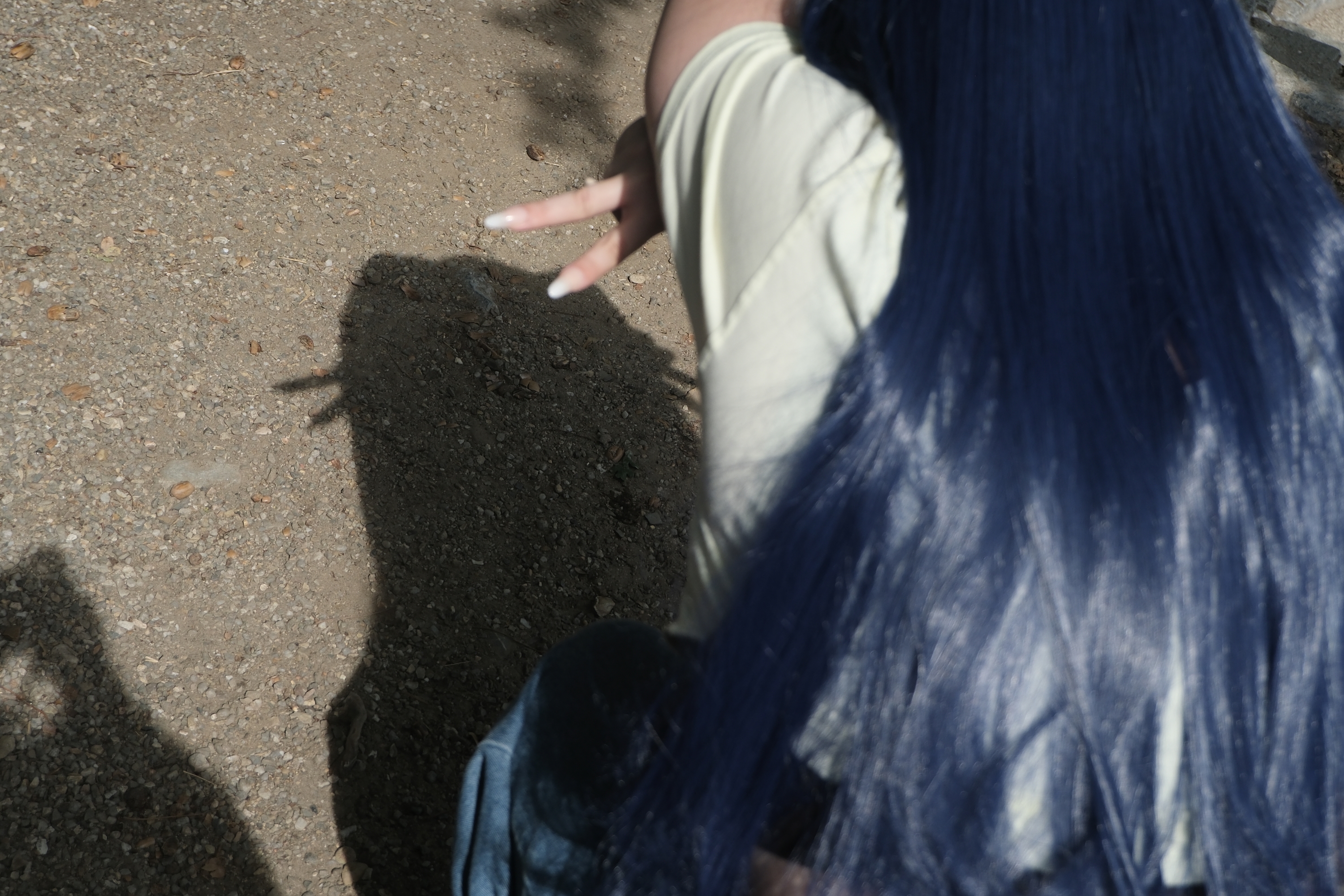 Himawari  - Photo 33