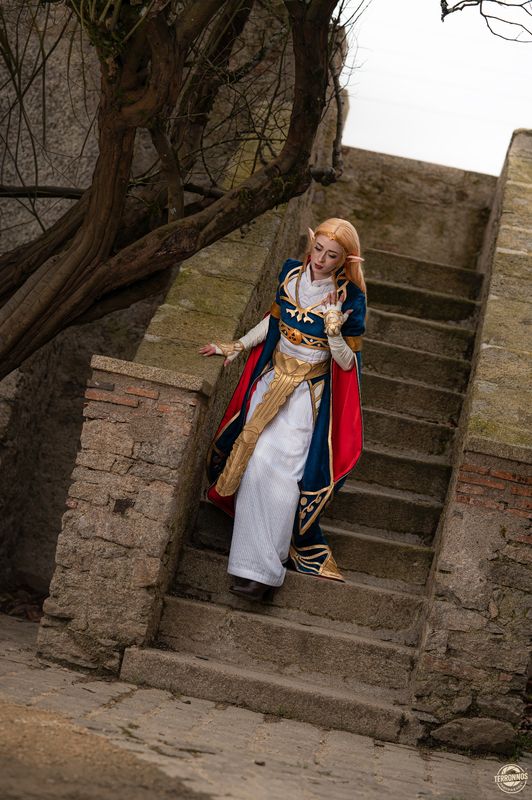 Ikagura – Zelda Royal Dress