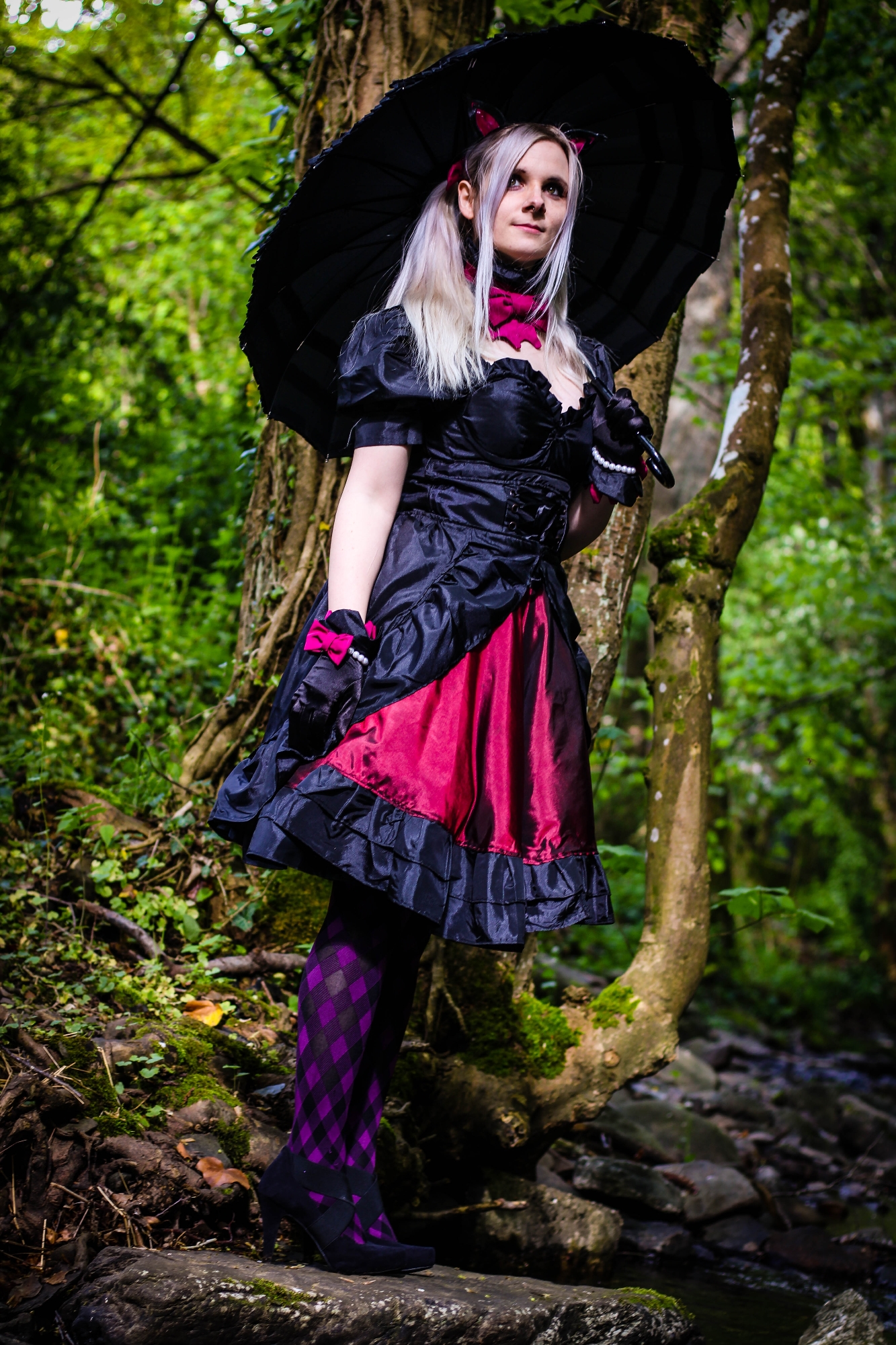 Black Cat DVA — photo 10