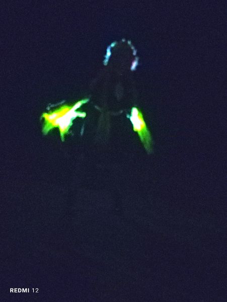 Naraku - Mitsuri KANROJI