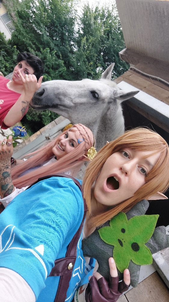 Link (Botw) - Photo 29