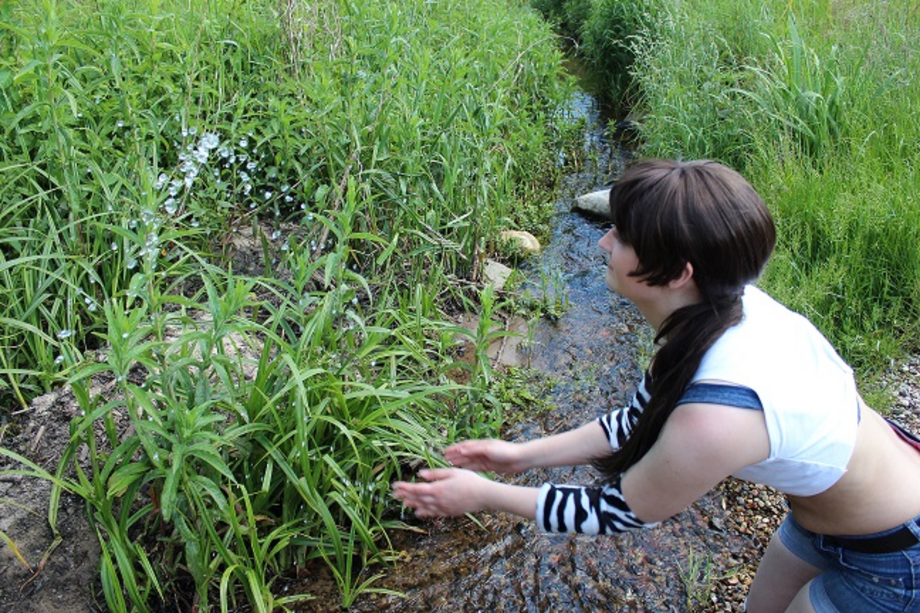 Michelle Cheng (TTT) - Photo 16