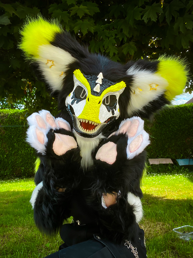 Photos Félix - Photo 7