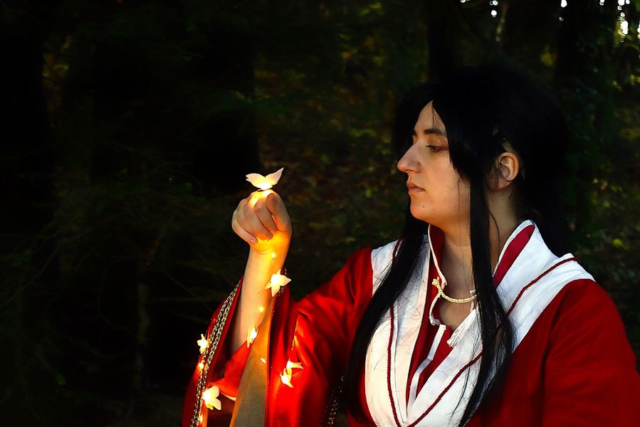 Light - San Lang Forest 2023