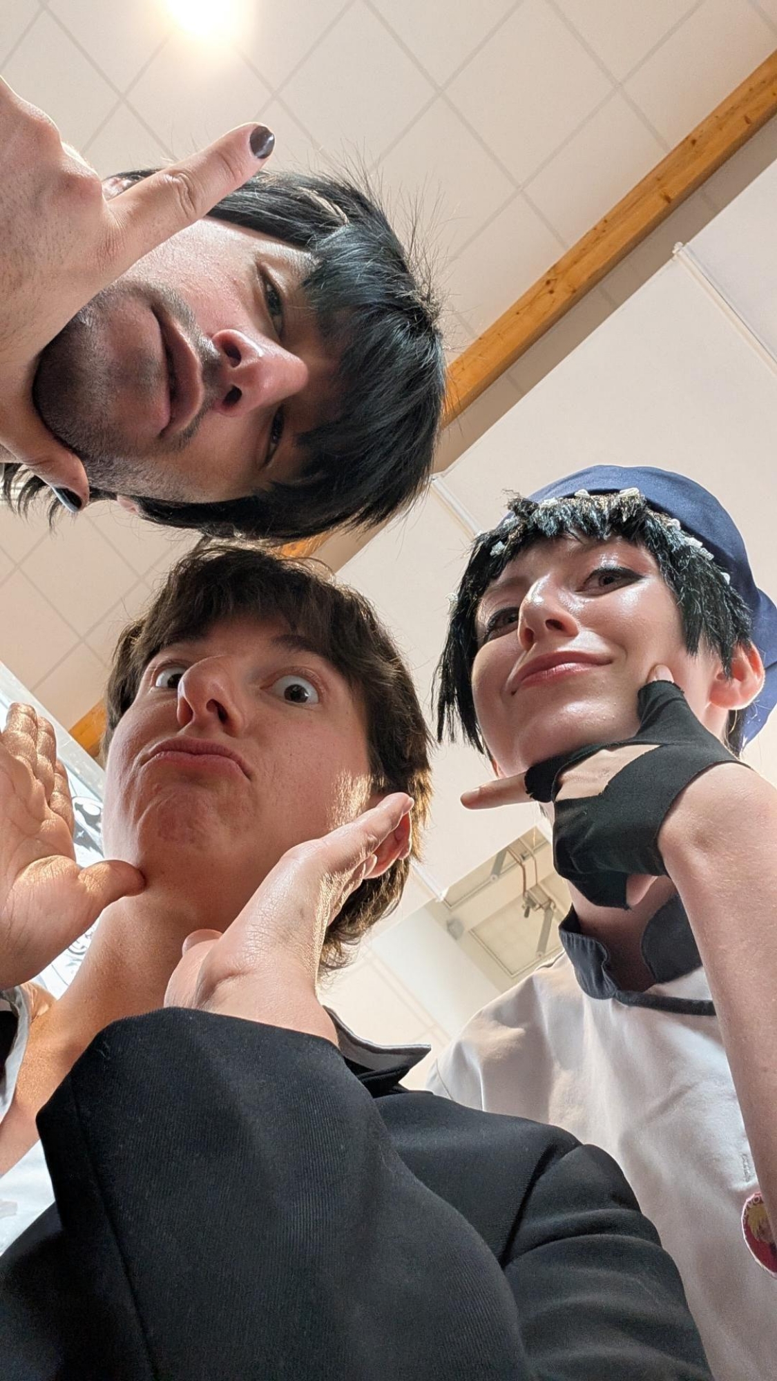 Gevaudan pop culture - Photo 12