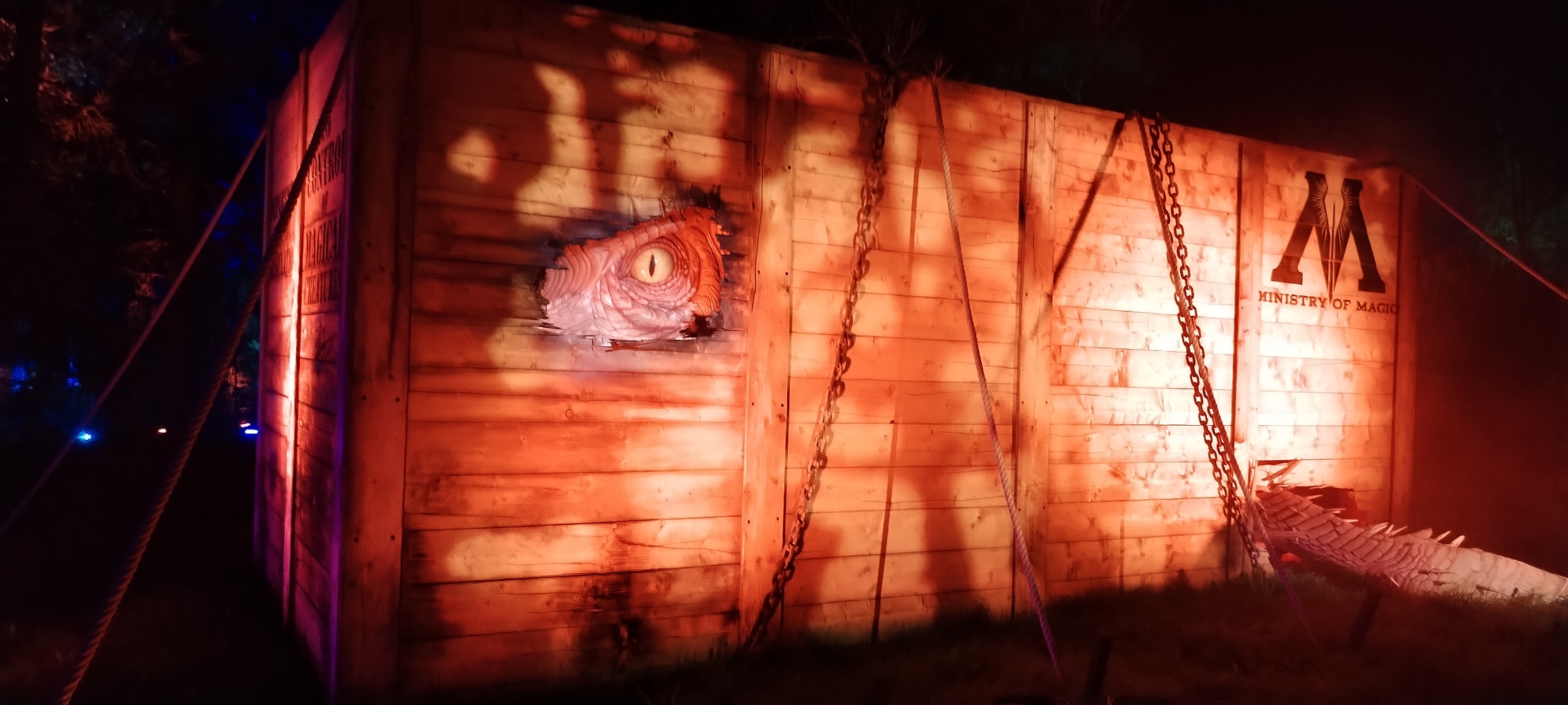 La forêt interdite - Photo 36