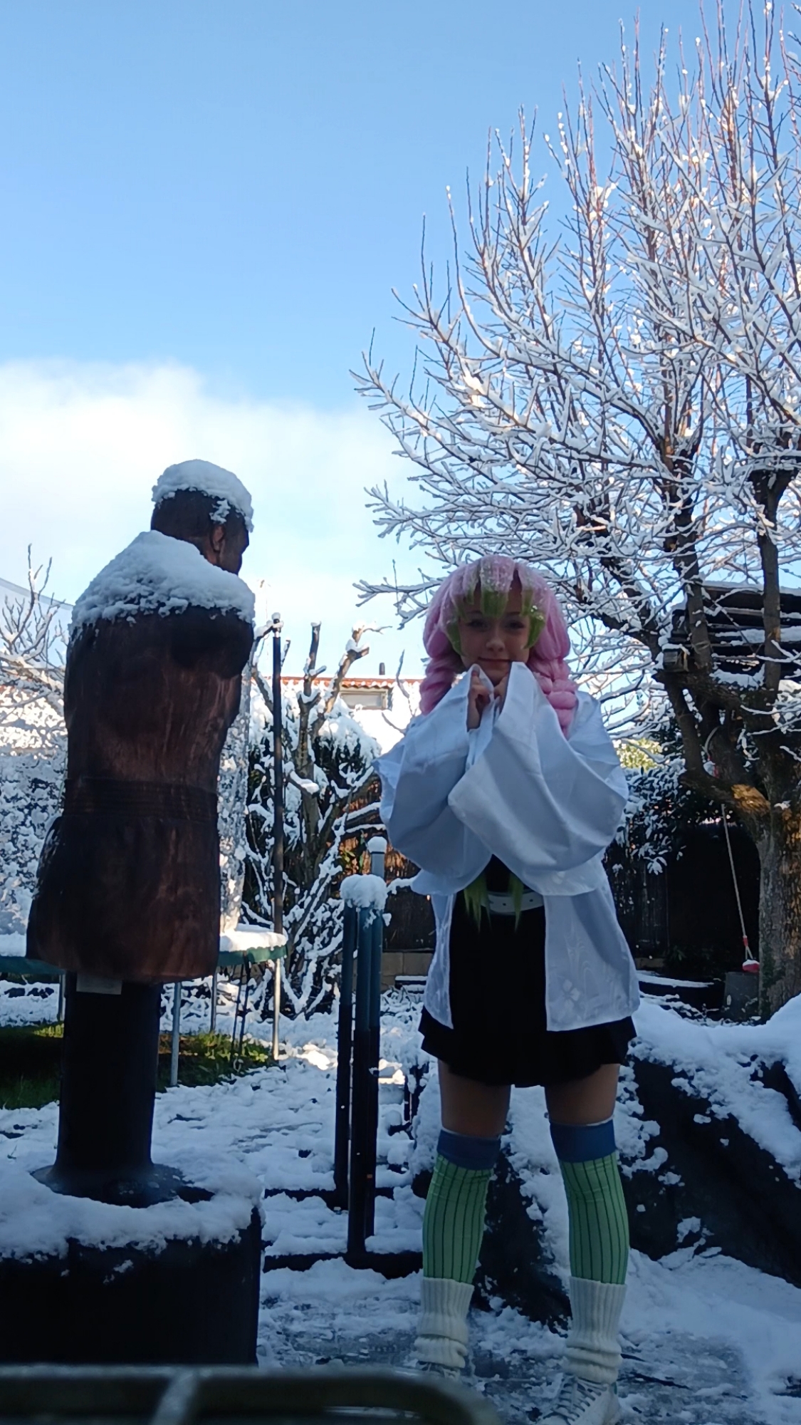 Mitsuri Kanroji - Photo 7