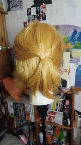 Willy_le_kiwi - Link