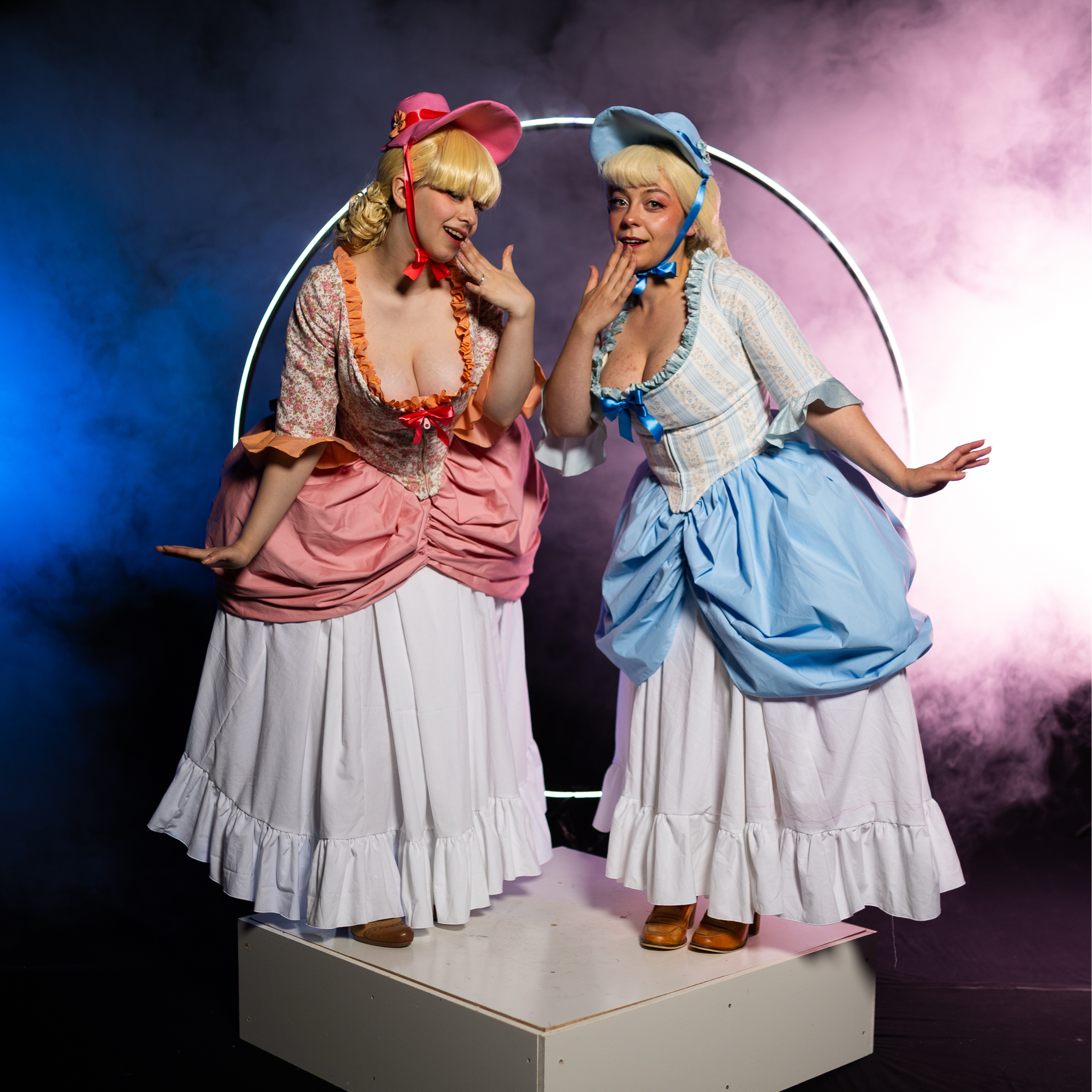 Les oies des aristoc