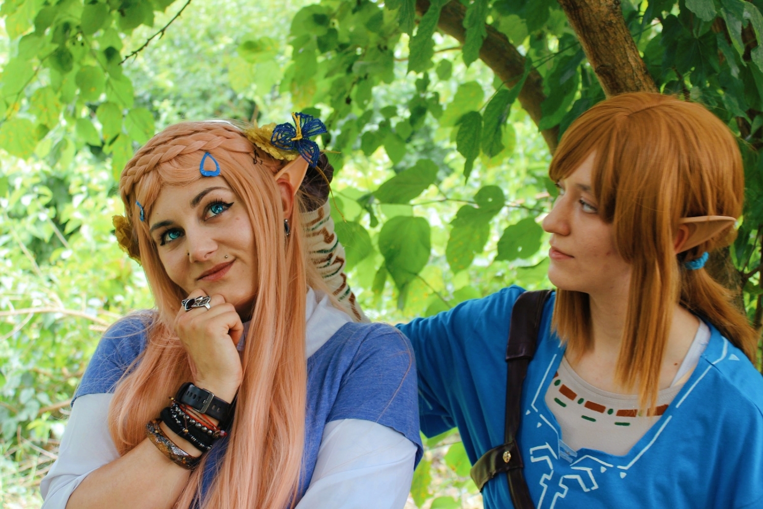 Link (Botw) - Photo 21