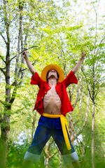 Monkey D Luffy preview 3