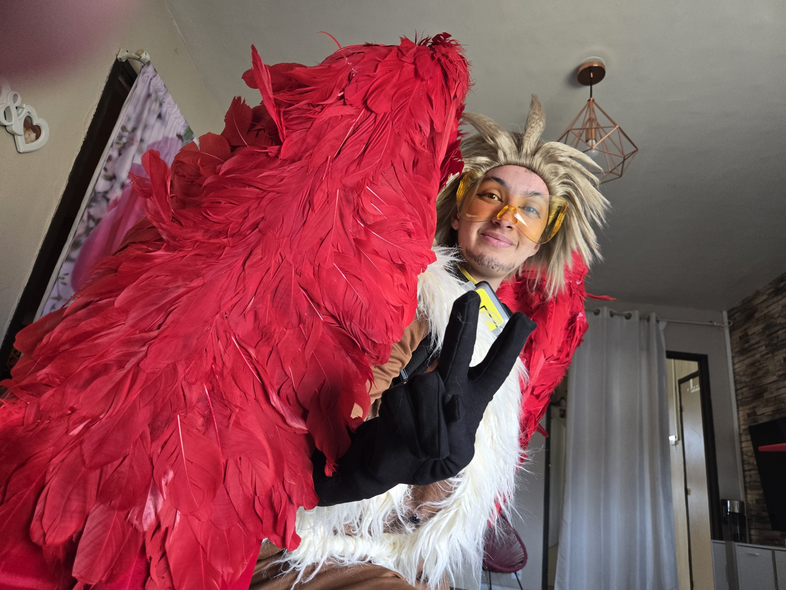 Hawks — photo 28