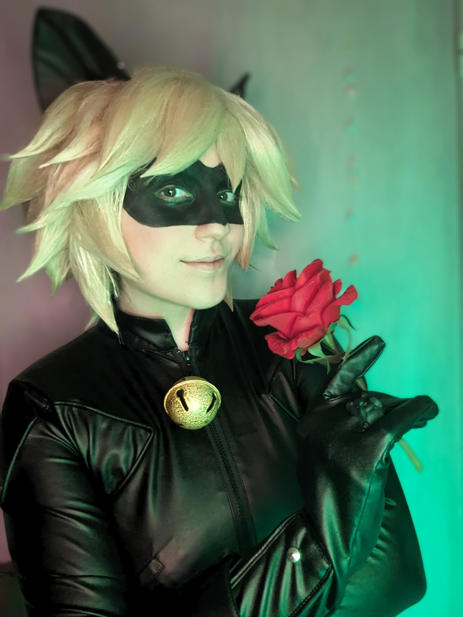 Chat noir — photo 15