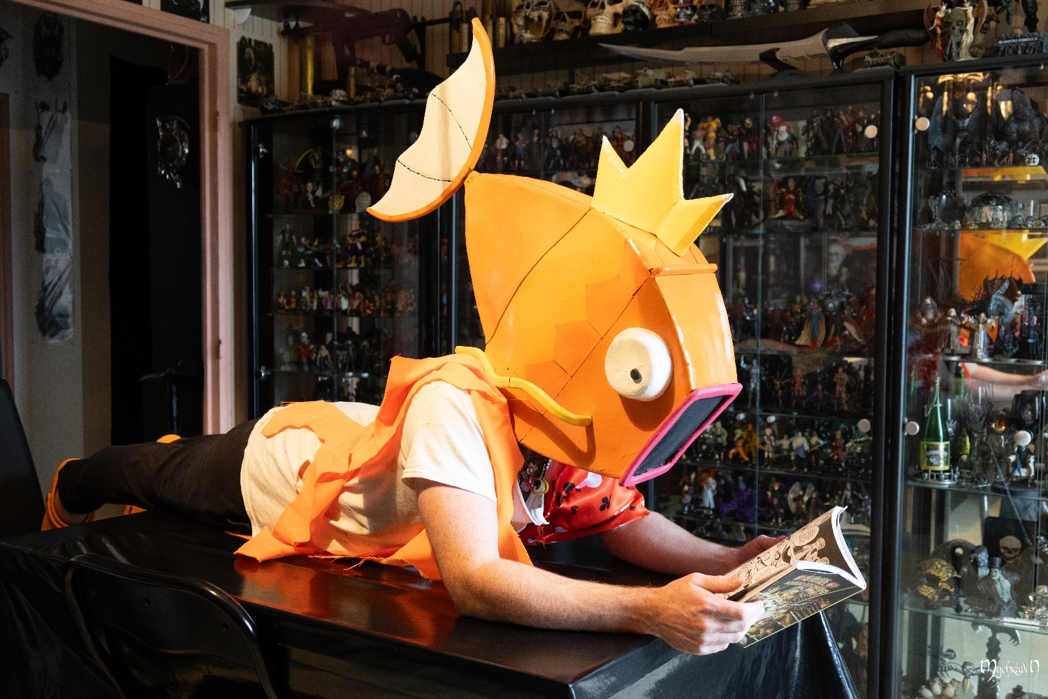 Gare à Pict'Asia - Photo 8