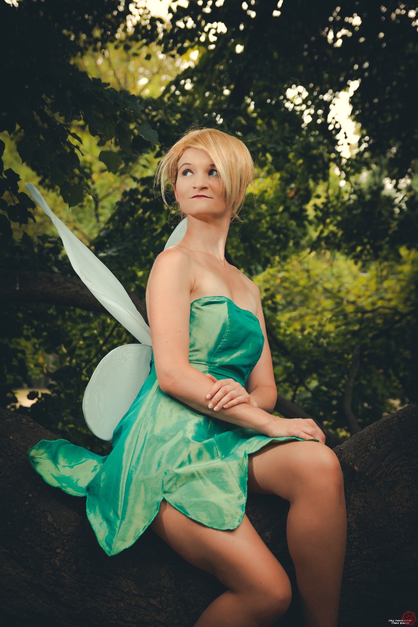 Tinkerbell — photo 5