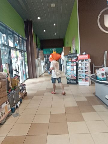 Magicarpe Zombie