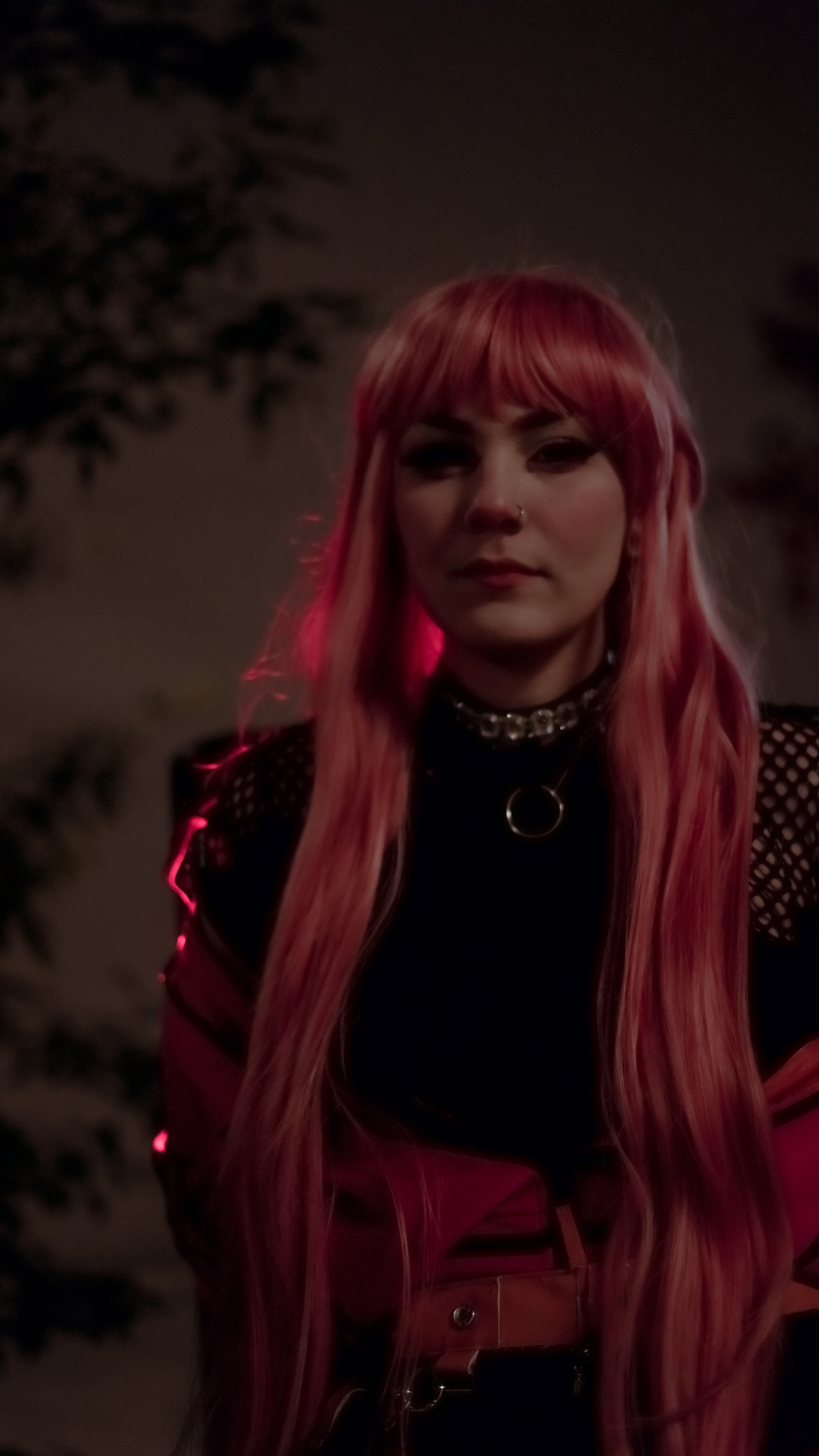 Anne Faulkner - Photo 6