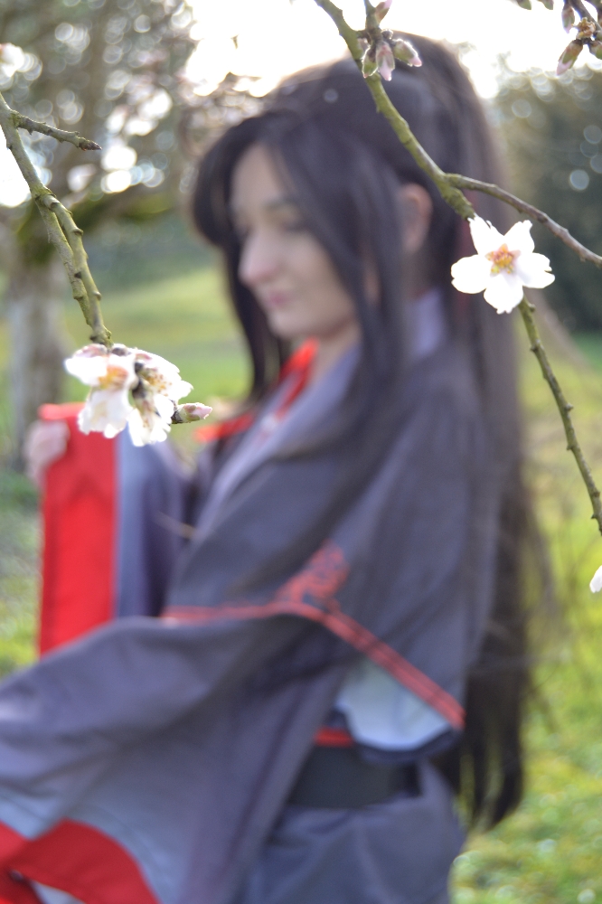 Weiwuxian — photo 5