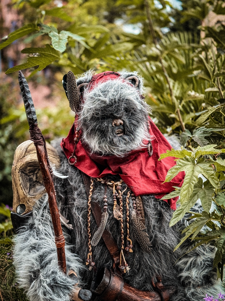 Un Ewok À Vitrolles - Photo 5