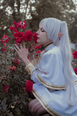Frieren preview 2