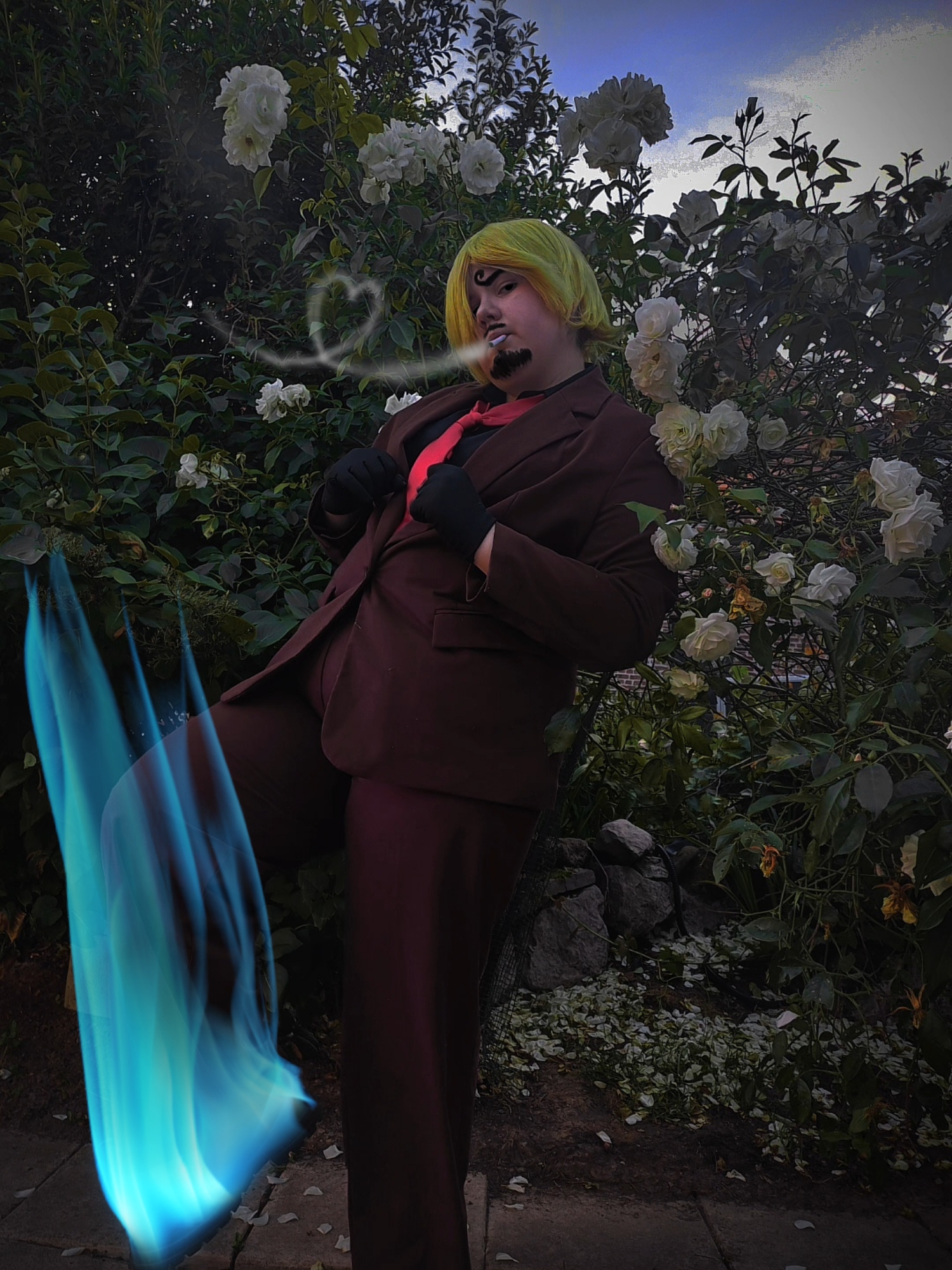 Sanji — photo 5