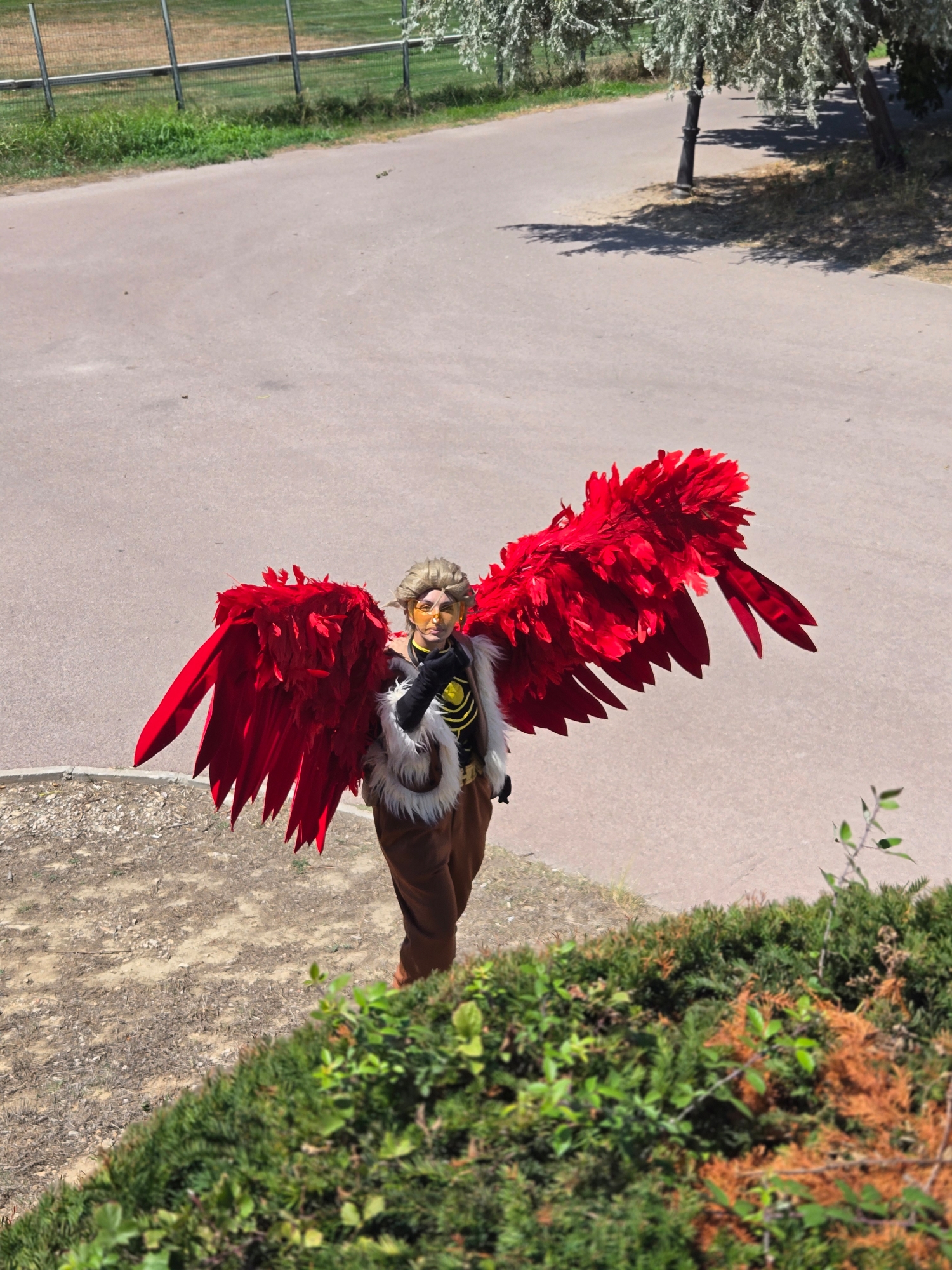 Hawks, photo 364