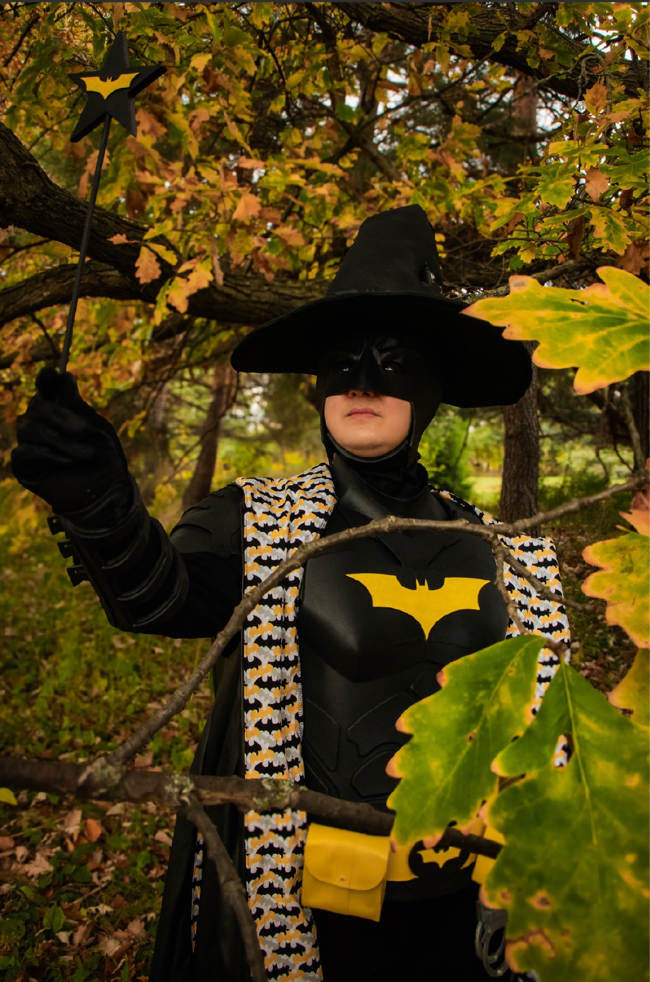 Batman Wizard - Photo 2