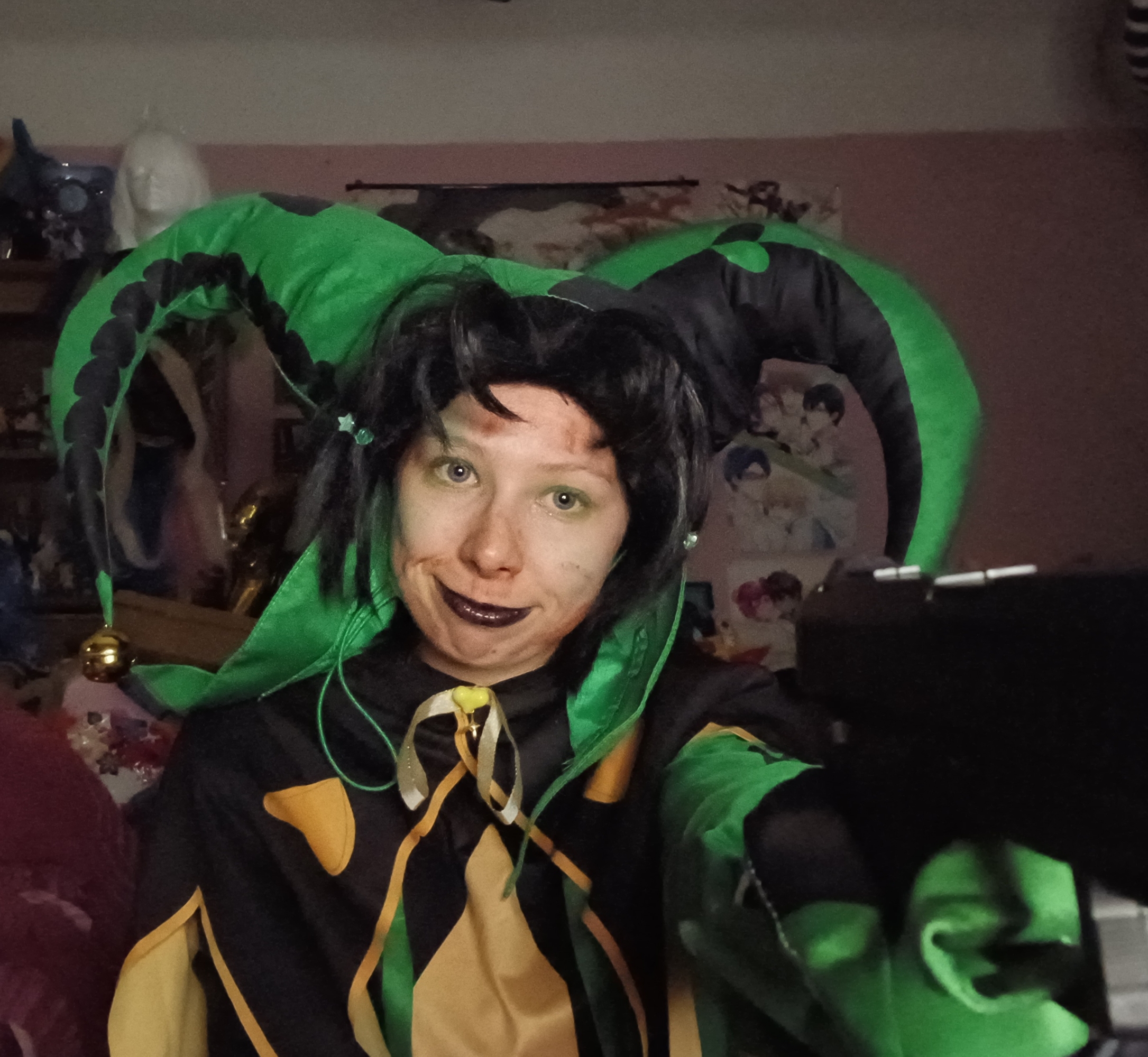 Harlequin, photo 12