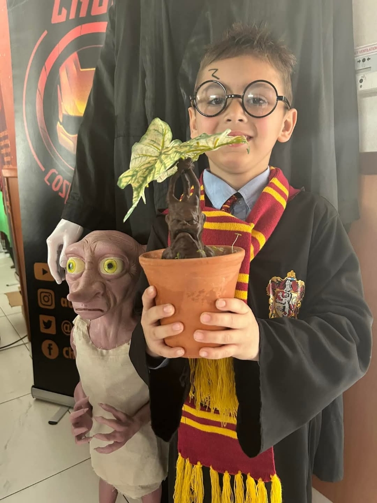 Harry potter — photo 19