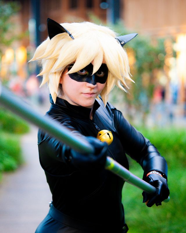 Lionara_artwork – Chat noir