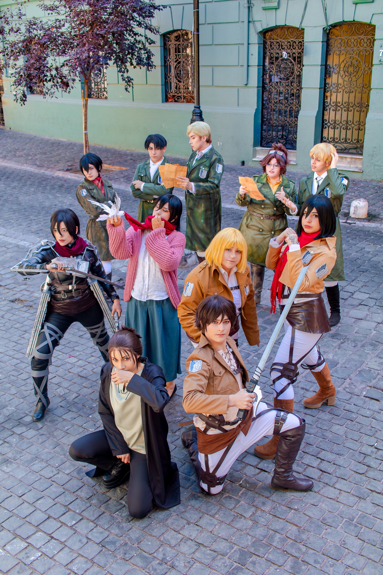Mikasa final — photo 7