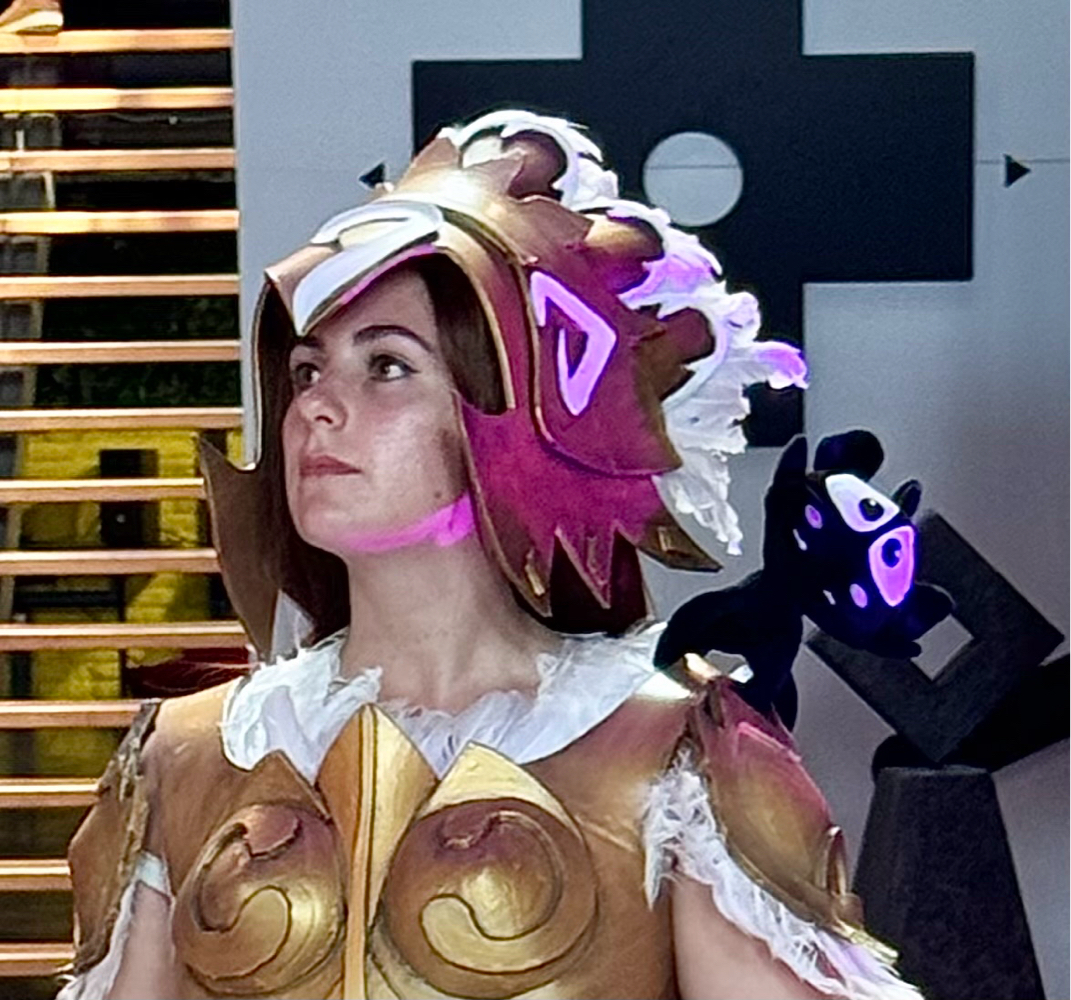 Ankama Convention — photo 6
