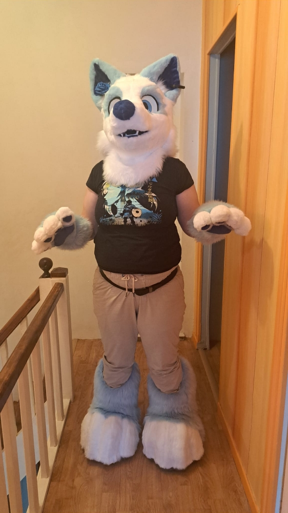 Titan refurb - Photo 5