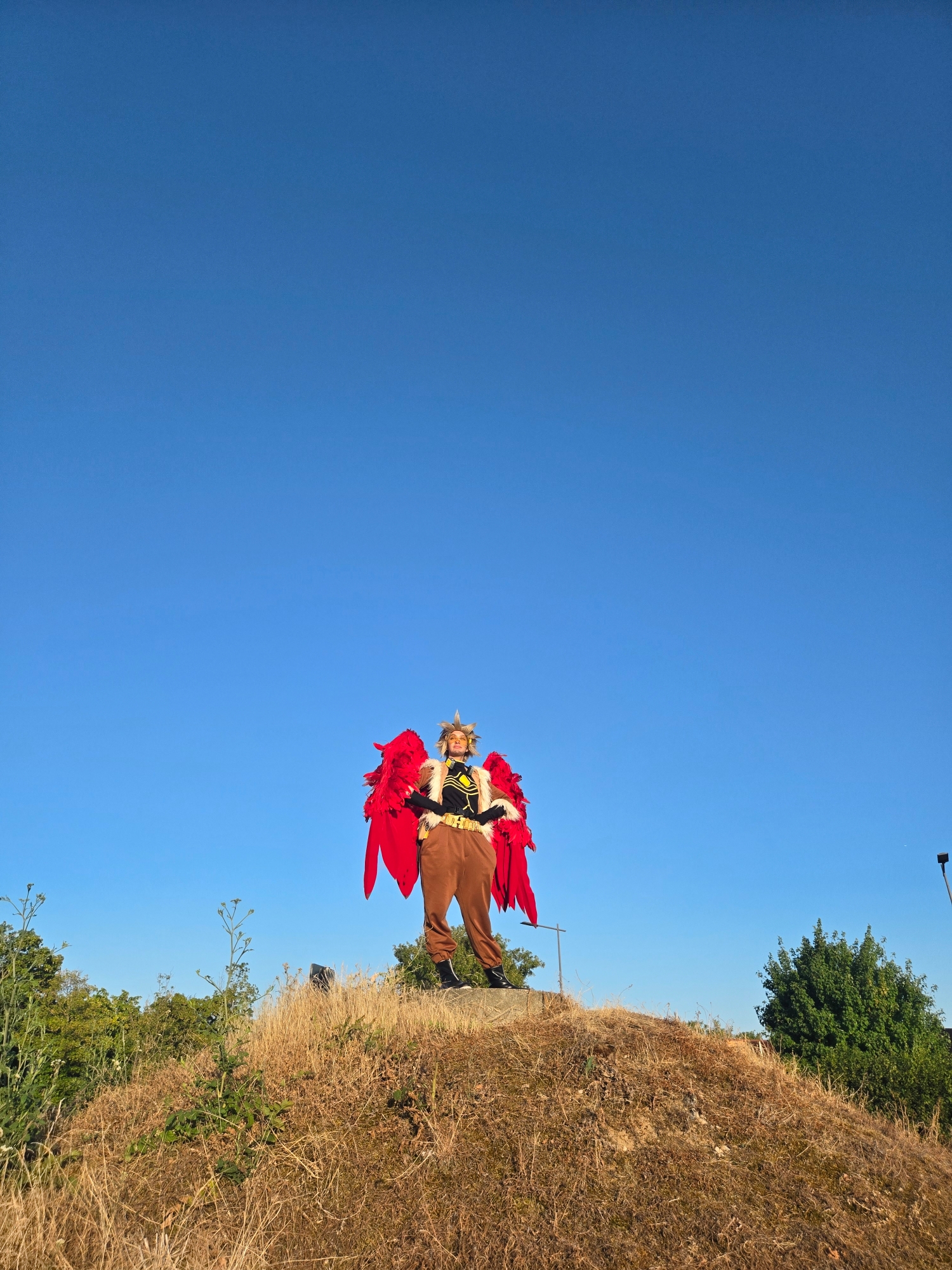 Hawks — photo 194