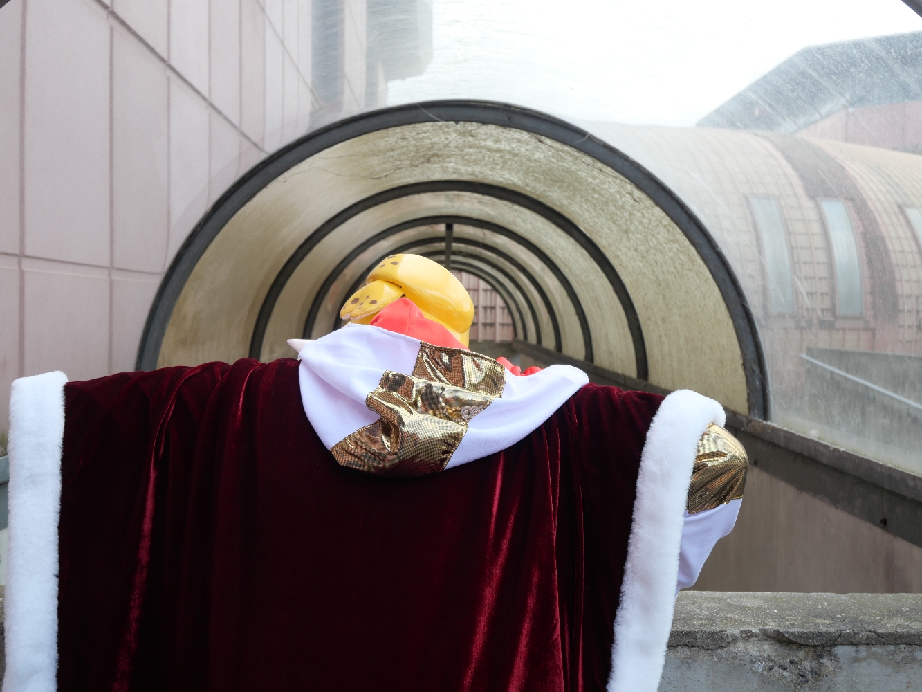 Emperor — photo 7