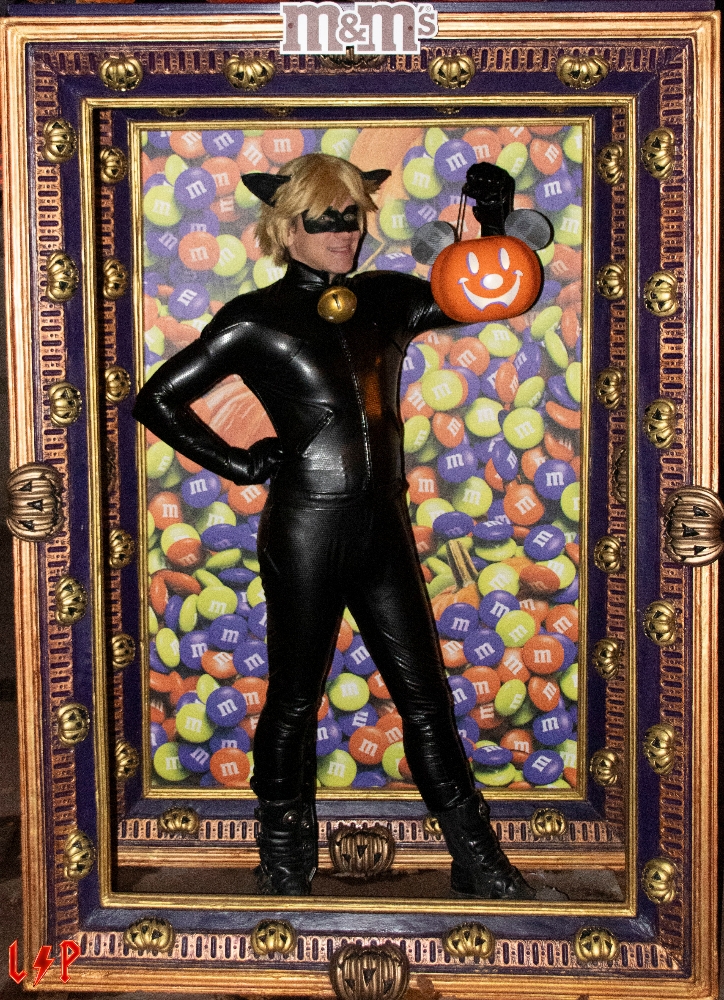 Miraculous Hallo 01 - Photo 5