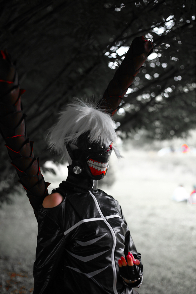 Kultur Manga Dreux - Photo 5