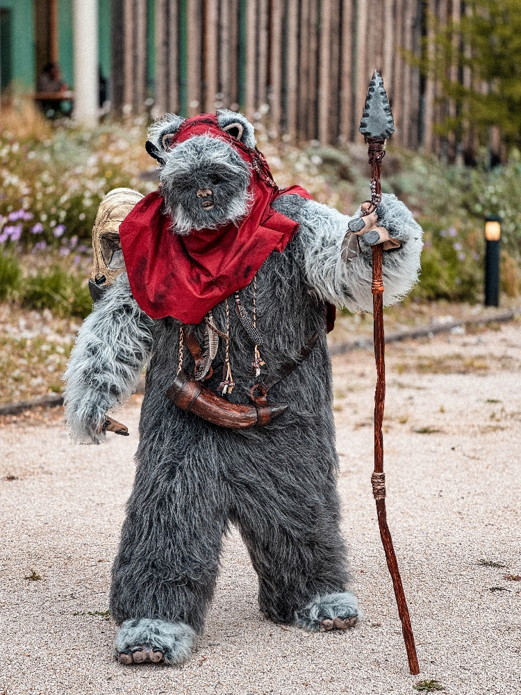 Un Ewok À Vitrolles - Photo 3