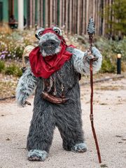 Un Ewok À Vitrolles preview 3