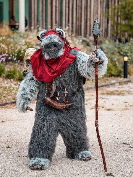 Utinni - Un Ewok À Vitrolles