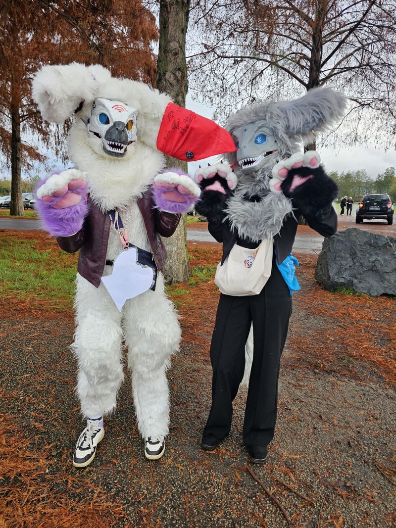 Artique_shimirazu – Japan otaku niort 