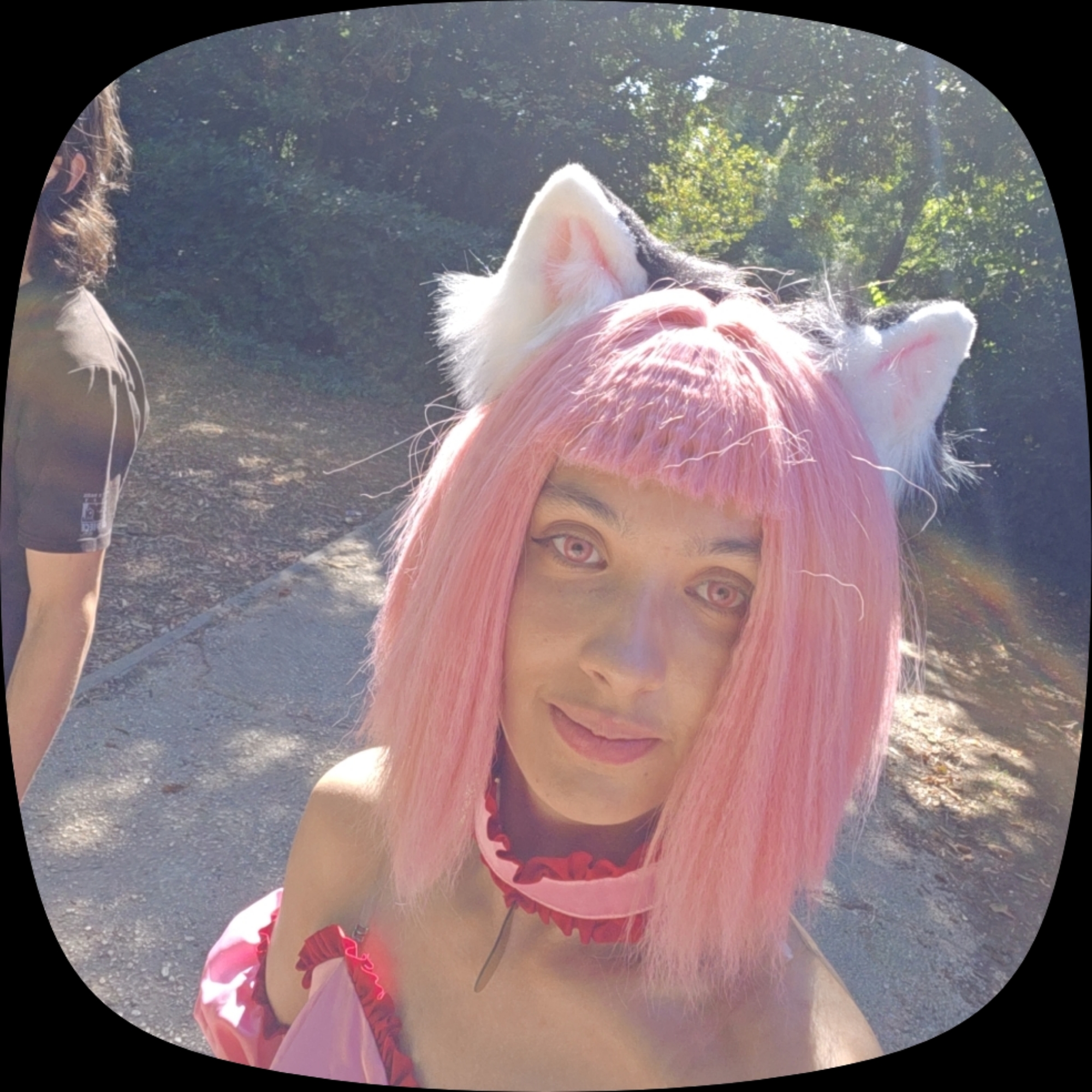 Ichigo, photo 73