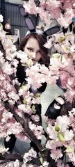 Bunny preview 2