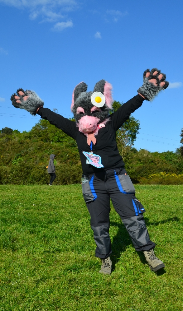 Chaloupinge - Photo 3