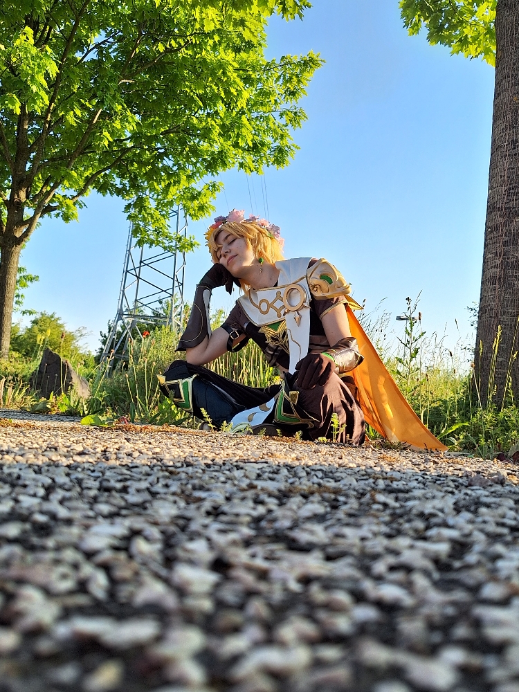 Aether dendro - Photo 4