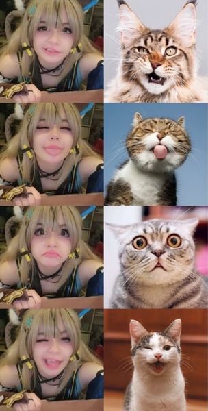 Mae__cosplay - Kirara