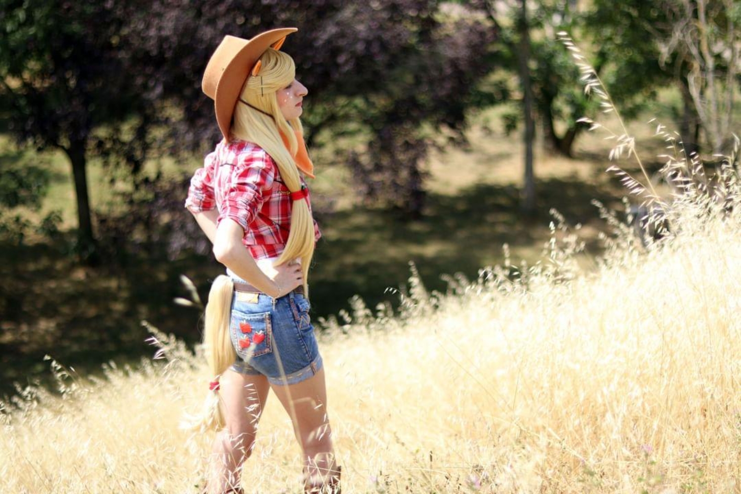 Applejack - Photo 3